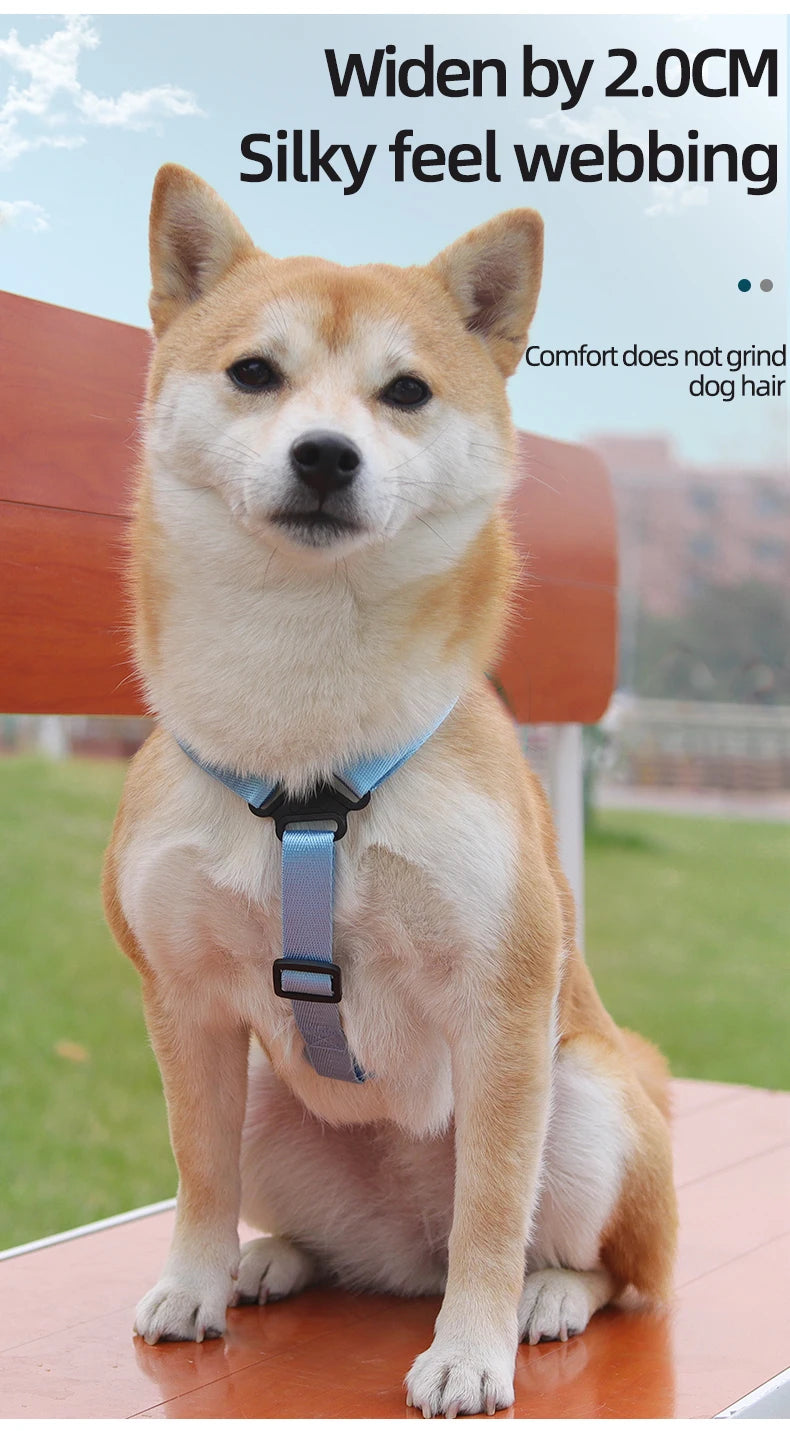 Waterproof Pet Backpack