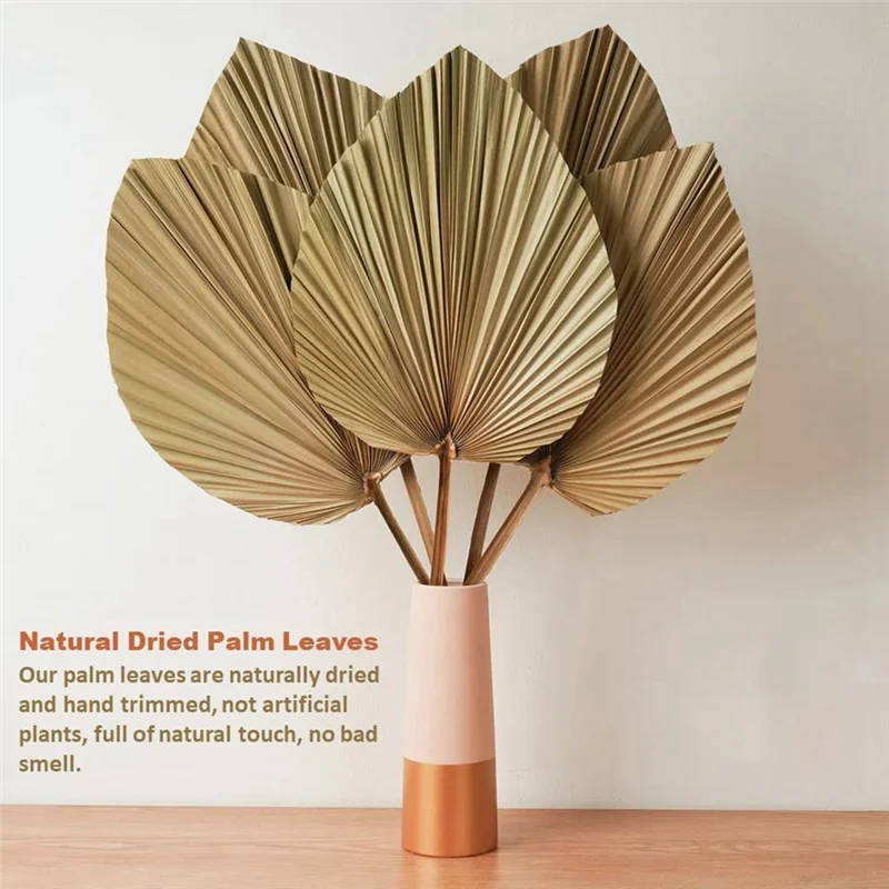 Natural Dried Palm Leaves