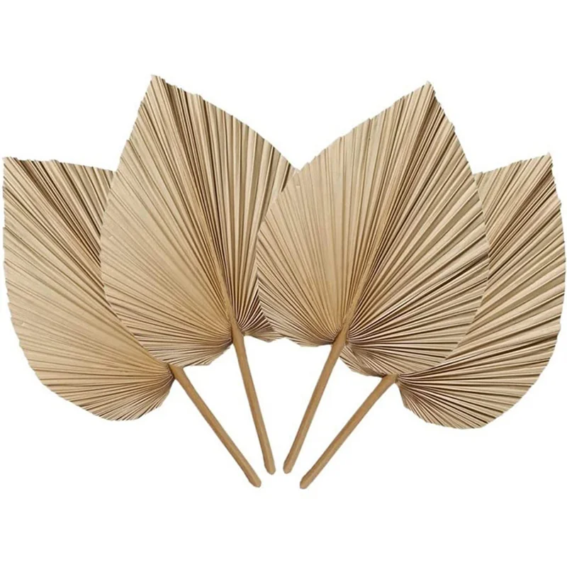 Natural Dried Palm Leaves