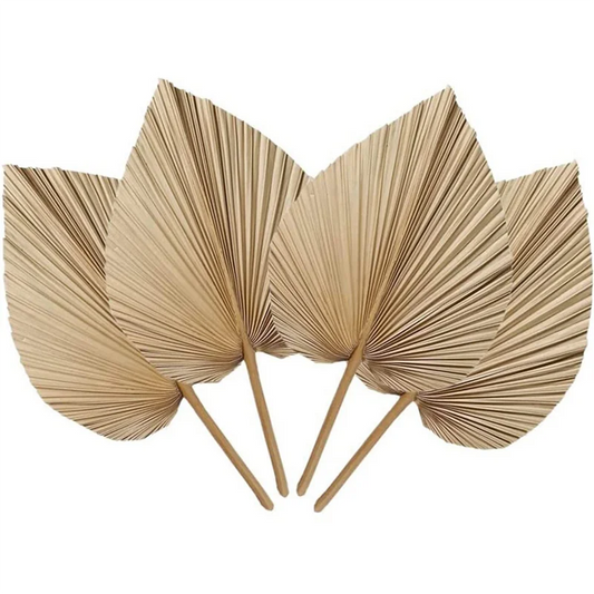 Natural Dried Palm Leaves