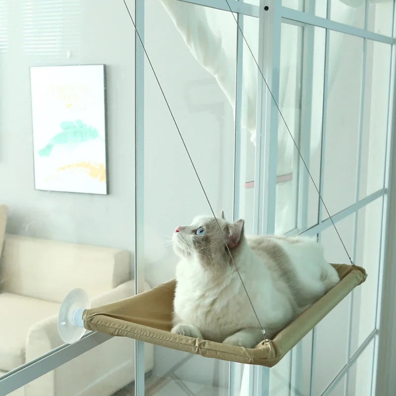 Hammock Aerial Hanging