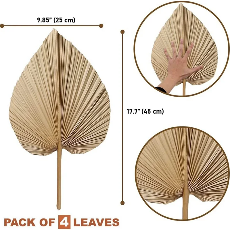 Natural Dried Palm Leaves