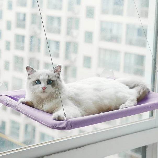 Cat Hammock Window Hanger